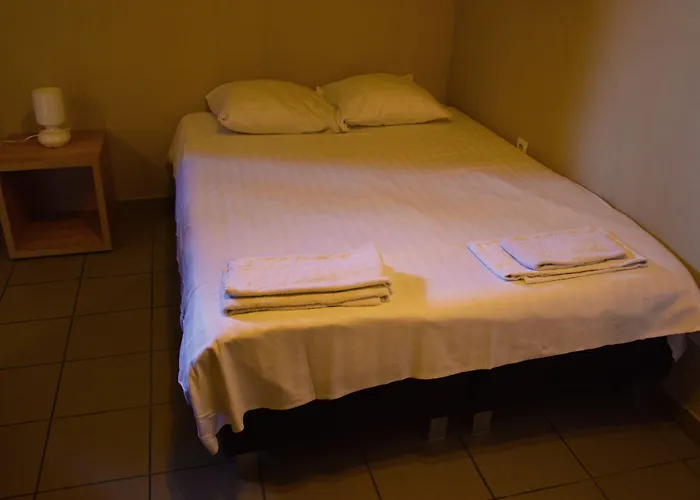 Budget Flats Loviano