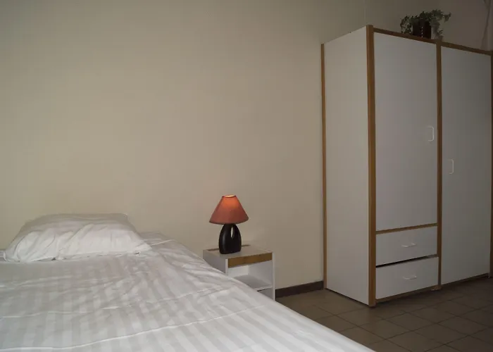 Budget Flats لوفين