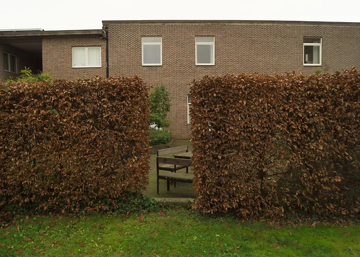 Budget Flats Loviano